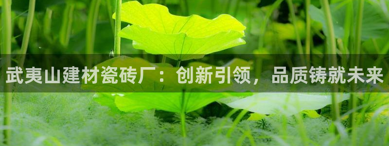 杏鑫登录注册测速