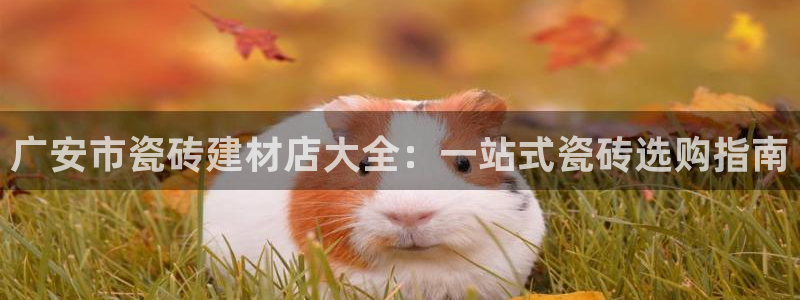 杏鑫平台登录地址是什么