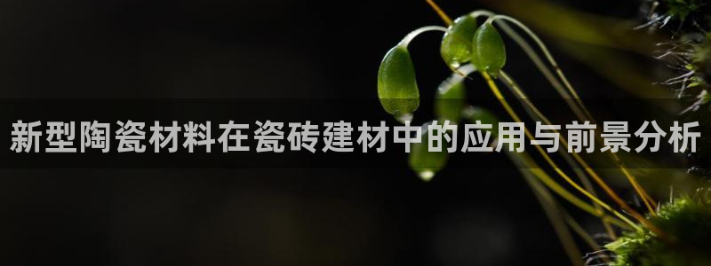 杏鑫平台正规吗可信吗