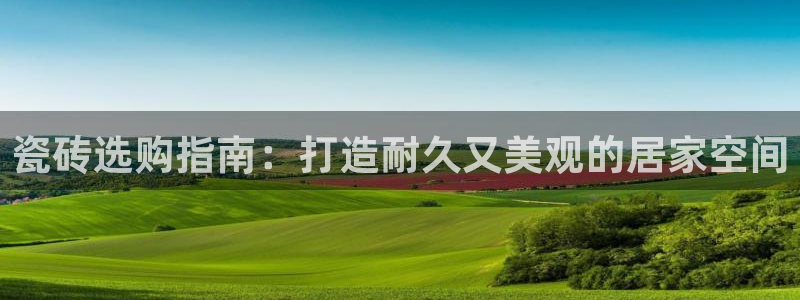 杏鑫平台直属哪个公司