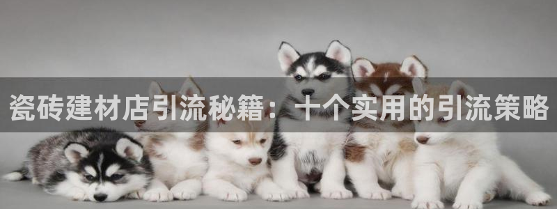 杏鑫娱乐官网登录不了