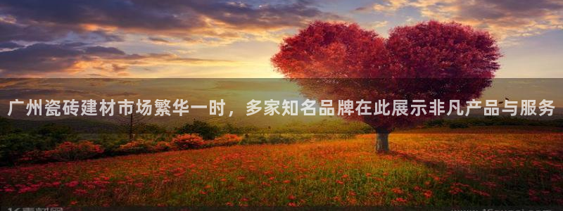 杏鑫平台代理注册流程图