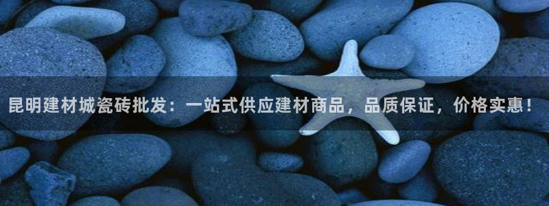 杏鑫平台代理注册多少钱一个