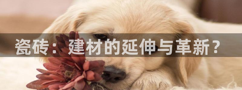 杏鑫娱乐官方网站客户端登录